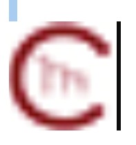 CaMu Financial & Insurance Services Inc.